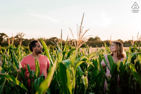 Montpellier-Paar posiert für ländliche Verlobungsporträts in einem Maisfeld in Herault