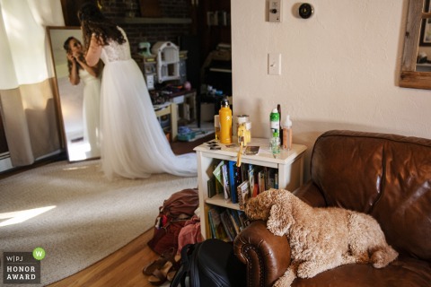 Dog watching bride get ready at a Private Home in Berlin, Massachusetts